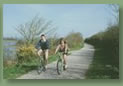The Camel Trail